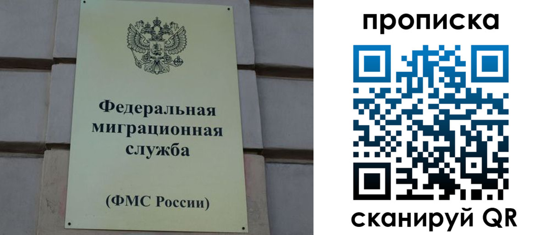 прописка поиск в Каменке